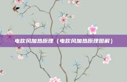 电吹风加热原理（电吹风加热原理图解）