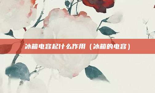 冰箱电容起什么作用（冰箱的电容）