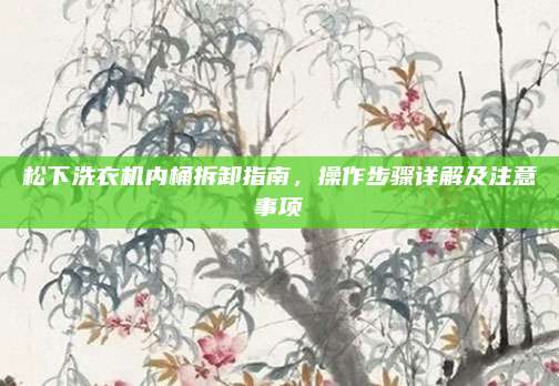 松下洗衣机内桶拆卸指南，操作步骤详解及注意事项