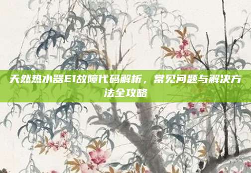 天然热水器E1故障代码解析，常见问题与解决方法全攻略