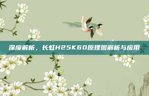 深度解析，长虹H25K60原理图解析与应用