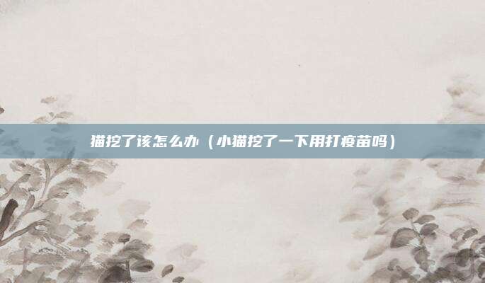 猫挖了该怎么办(小猫挖了一下用打疫苗吗)