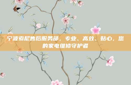 宁波索尼售后服务部,专业、高效、贴心,您的家电维修守护者