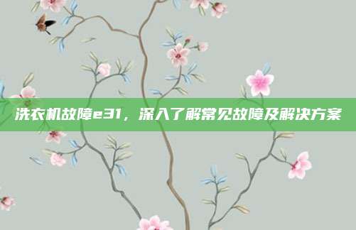 洗衣机故障e31，深入了解常见故障及解决方案