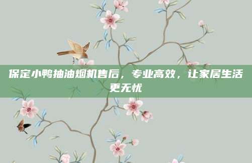 保定小鸭抽油烟机售后，专业高效，让家居生活更无忧