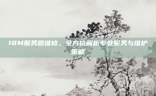 IBM服务器维修，全方位解析专业服务与维护策略