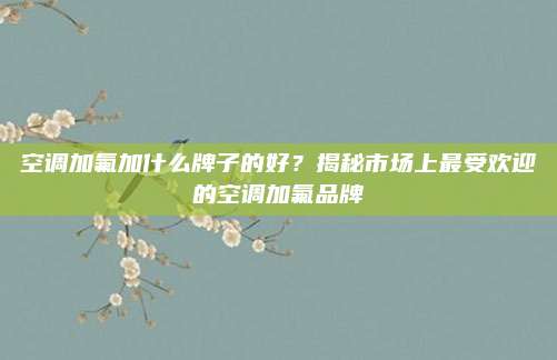 空调加氟加什么牌子的好？揭秘市场上最受欢迎的空调加氟品牌
