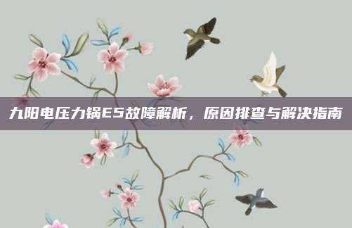 九阳电压力锅E5故障解析，原因排查与解决指南