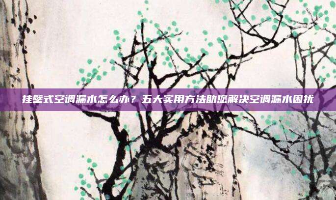 挂壁式空调漏水怎么办？五大实用方法助您解决空调漏水困扰