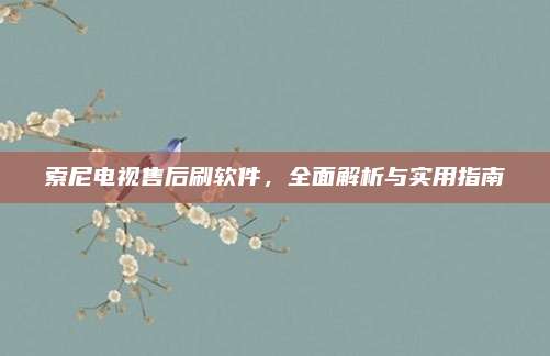 索尼电视售后刷软件，全面解析与实用指南