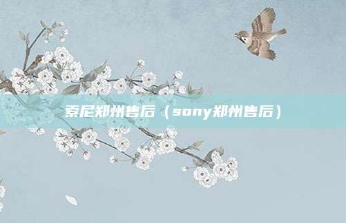 索尼郑州售后（sony郑州售后）