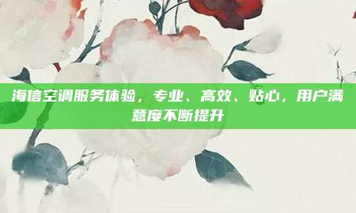 海信空调服务体验，专业、高效、贴心，用户满意度不断提升