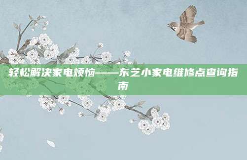 轻松解决家电烦恼——东芝小家电维修点查询指南