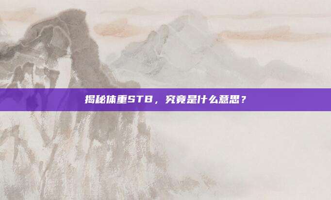 揭秘体重STB，究竟是什么意思？