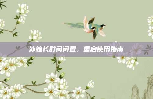 冰箱长时间闲置,重启使用指南