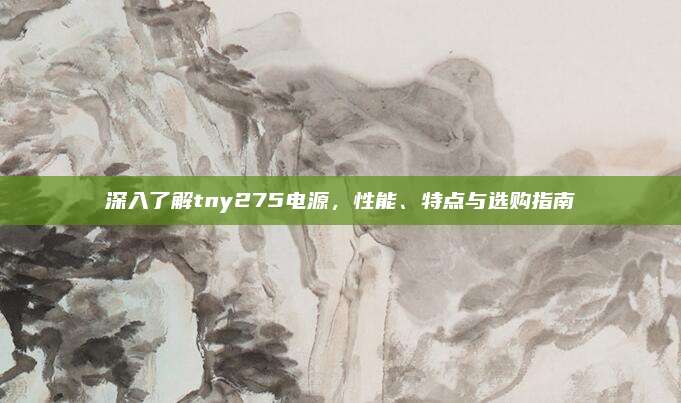 深入了解tny275电源,性能、特点与选购指南