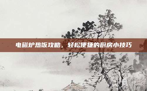 电磁炉热饭攻略，轻松便捷的厨房小技巧