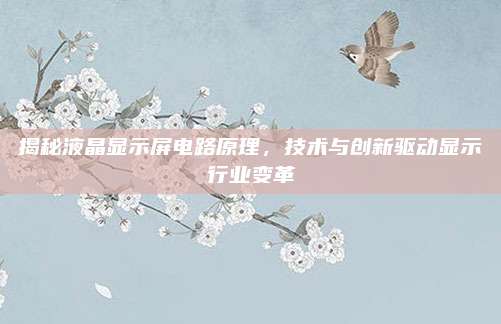 揭秘液晶显示屏电路原理,技术与创新驱动显示行业变革
