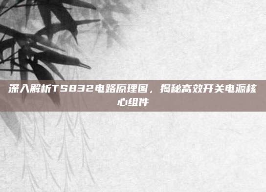 深入解析TS832电路原理图,揭秘高效开关电源核心组件