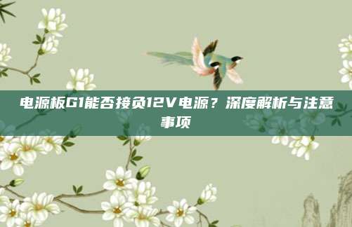 电源板G1能否接负12V电源？深度解析与注意事项