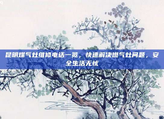昆明煤气灶维修电话一览，快速解决燃气灶问题，安全生活无忧