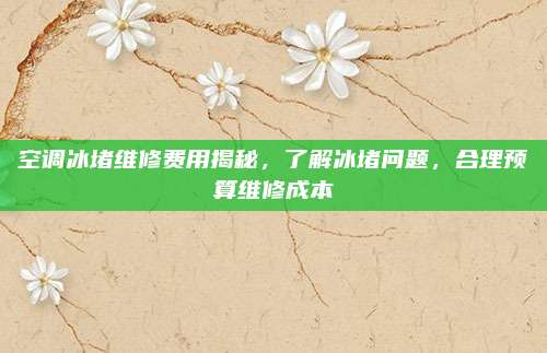 空调冰堵维修费用揭秘,了解冰堵问题,合理预算维修成本