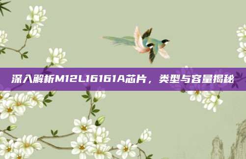 深入解析M12L16161A芯片，类型与容量揭秘