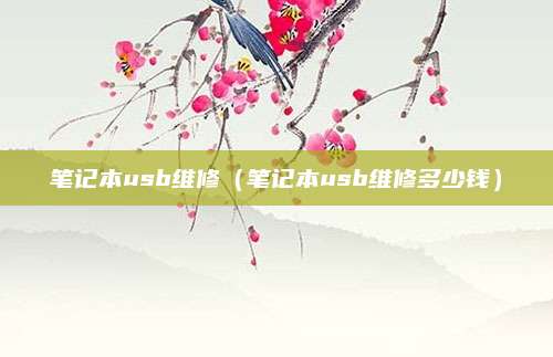笔记本usb维修（笔记本usb维修多少钱）