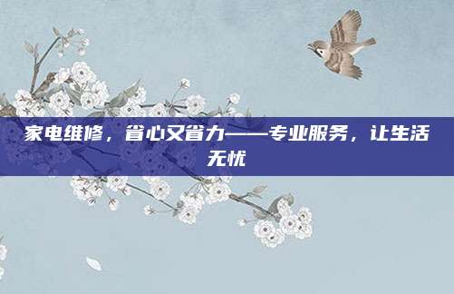 家电维修，省心又省力——专业服务，让生活无忧