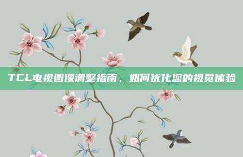 TCL电视图像调整指南,如何优化您的视觉体验