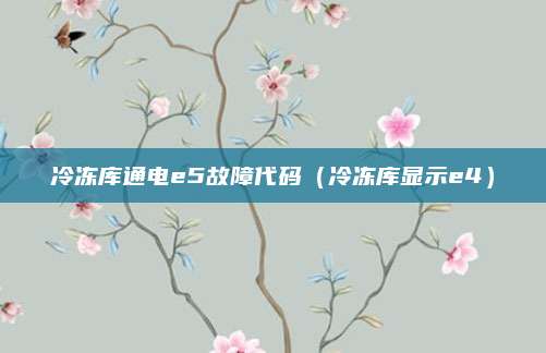 冷冻库通电e5故障代码（冷冻库显示e4）