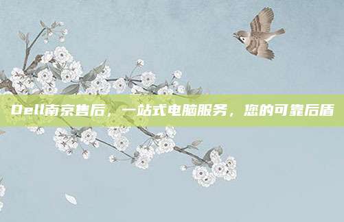 Dell南京售后,一站式电脑服务,您的可靠后盾