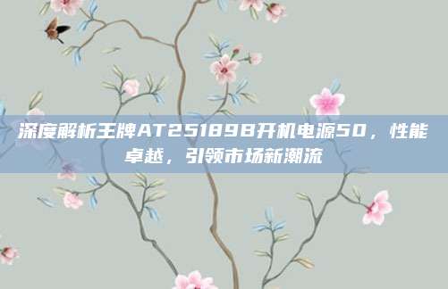 深度解析王牌AT25189B开机电源50，性能卓越，引领市场新潮流
