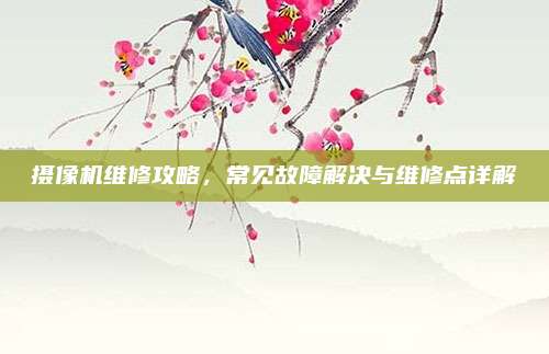 摄像机维修攻略，常见故障解决与维修点详解