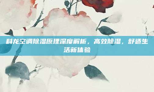 科龙空调除湿原理深度解析，高效除湿，舒适生活新体验