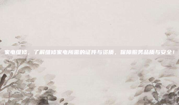 家电维修,了解维修家电所需的证件与资质,保障服务品质与安全!