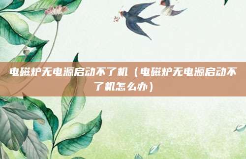 电磁炉无电源启动不了机（电磁炉无电源启动不了机怎么办）
