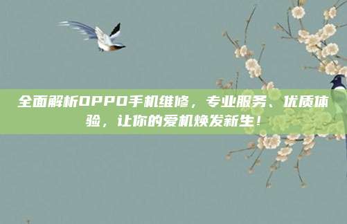 全面解析OPPO手机维修,专业服务、优质体验,让你的爱机焕发新生!