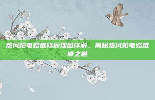 热风枪电路维修原理图详解,揭秘热风枪电路维修之道