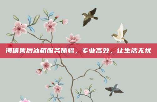 海信售后冰箱服务体验,专业高效,让生活无忧