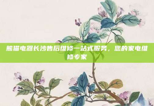 熊猫电器长沙售后维修一站式服务,您的家电维修专家