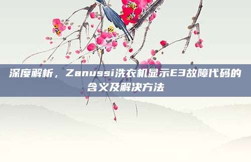 深度解析，Zanussi洗衣机显示E3故障代码的含义及解决方法