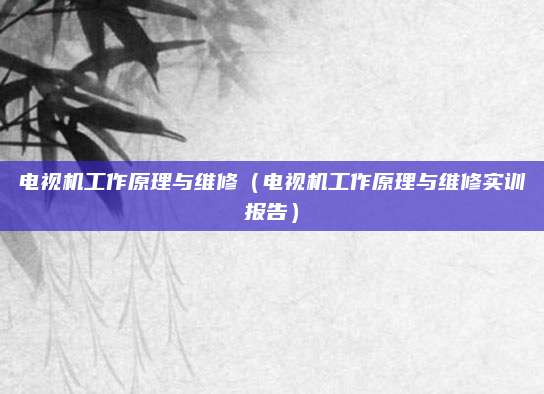 电视机工作原理与维修（电视机工作原理与维修实训报告）