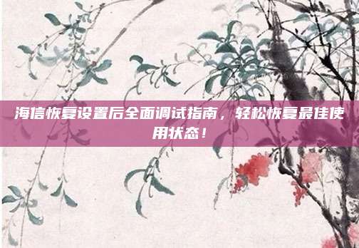 海信恢复设置后全面调试指南,轻松恢复最佳使用状态!