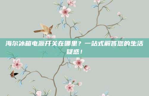 海尔冰箱电源开关在哪里?一站式解答您的生活疑惑!