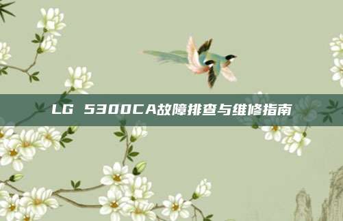 LG 5300CA故障排查与维修指南