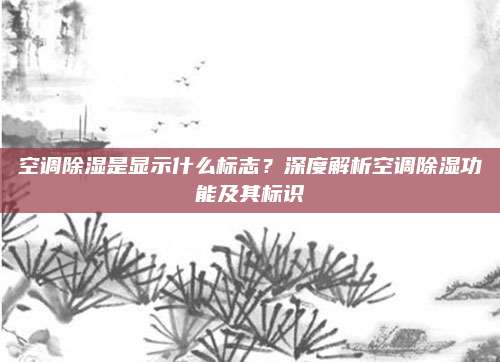 空调除湿是显示什么标志?深度解析空调除湿功能及其标识
