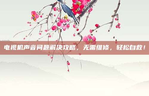 电视机声音问题解决攻略，无需维修，轻松自救！