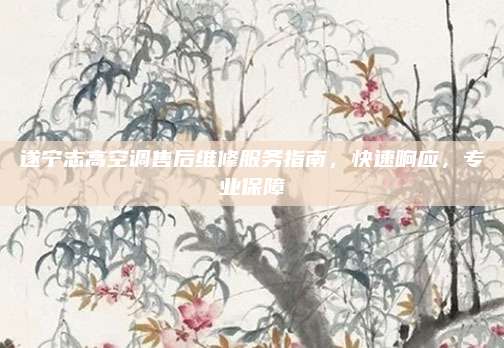 遂宁志高空调售后维修服务指南,快速响应,专业保障