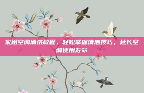 家用空调清洗教程,轻松掌握清洁技巧,延长空调使用寿命